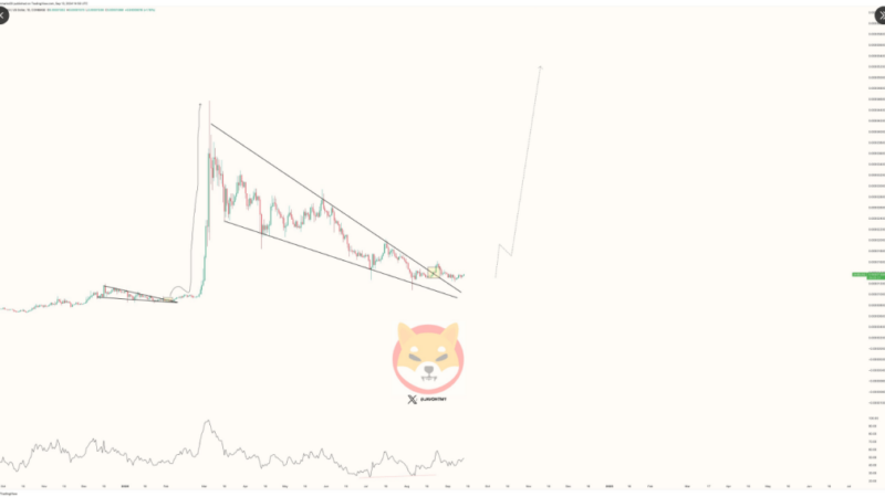 Shiba Inu Eyes Explosive 430% Climb As Momentum Builds —Analyst