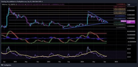 Shiba Inu Symmetrical Triangle Pattern Reappears, Why A 200% Rally Is Possible