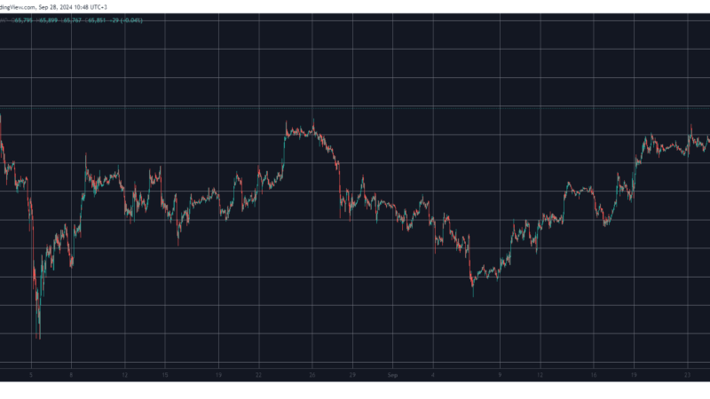 Shiba Inu’s (SHIB) Price Shot Up to 3-Month High, Bitcoin (BTC) Touched $66.5K (Weekend Watch)