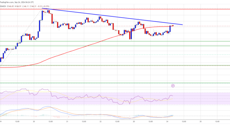 Solana Price (SOL) Gears Up for Fresh Surge: Is More Upside Ahead?