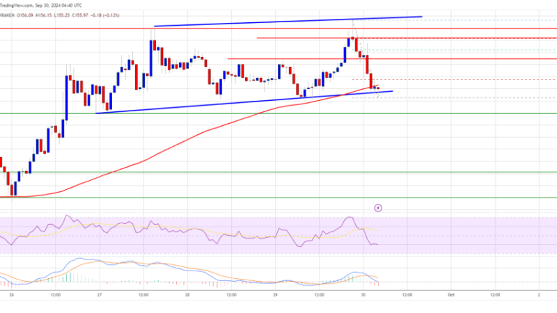 Solana Price (SOL) Holds Crucial Support Level: Is the Rally Still Alive?