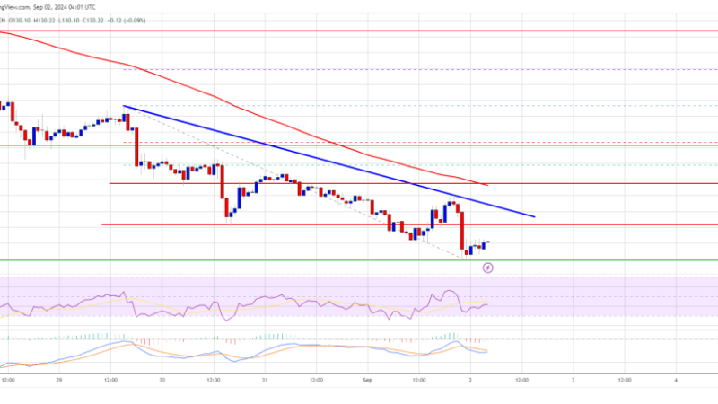 Solana Price (SOL) Turns Red: Key Supports That May Spark a Bullish Upside?