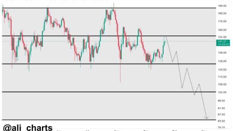 Solana (SOL) Failure To Break $154 Could Lead To $85 Correction – Analyst