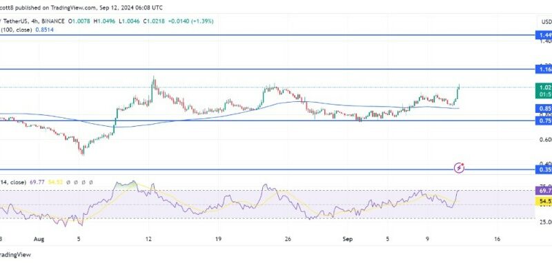 SUI Bulls Gear Up, Can They Push Through The $1.16 Ceiling?
