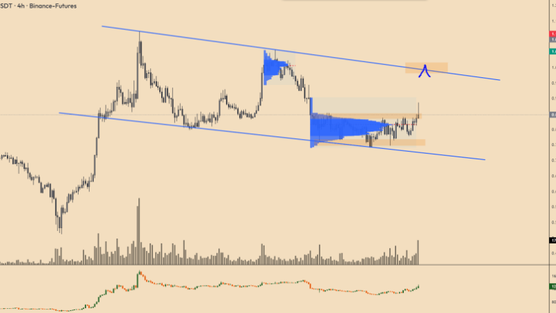 SUI Rises 8% Amid Market Retrace, Will The Joy Be Short-Lived?