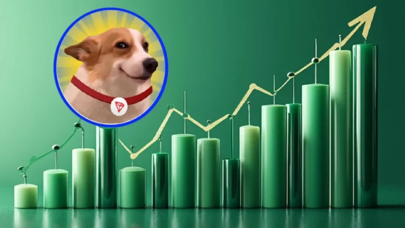 SUNDOGE Price Rally Imminent? Whale Buys Millions of Tokens