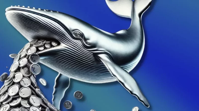 Whale Accumulates 31.2M $WIF, Rakes in $74M Profit After Major Buy at $1.76