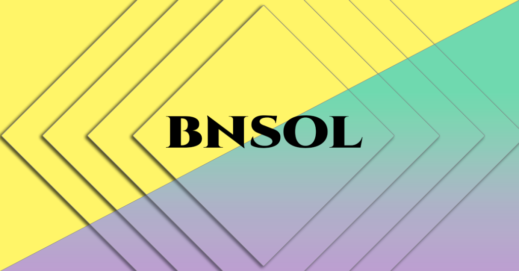 What is BNSOL? Everything You Need to Know !