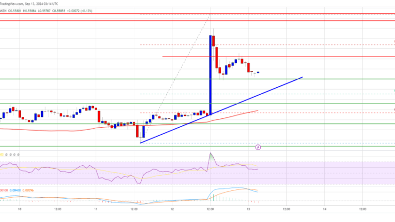 XRP Price Breaks Out and Surges: Will the Momentum Last?