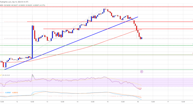 XRP Price Falls Below Support, Bearish Momentum Builds