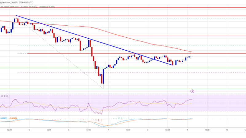 XRP Price Holds Ground at $0.50: Can Bulls Push for a Comeback?