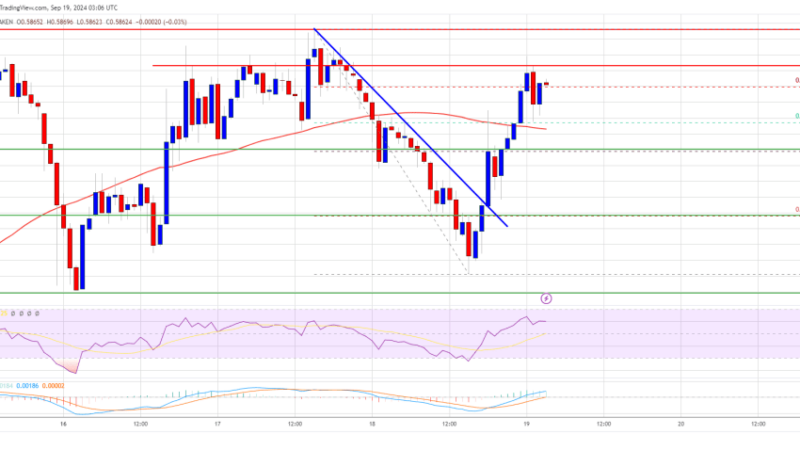 XRP Price Nears $0.60: Is A Major Pump Imminent?