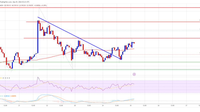 XRP Price Remains in Range: Can It Escape the Consolidation?