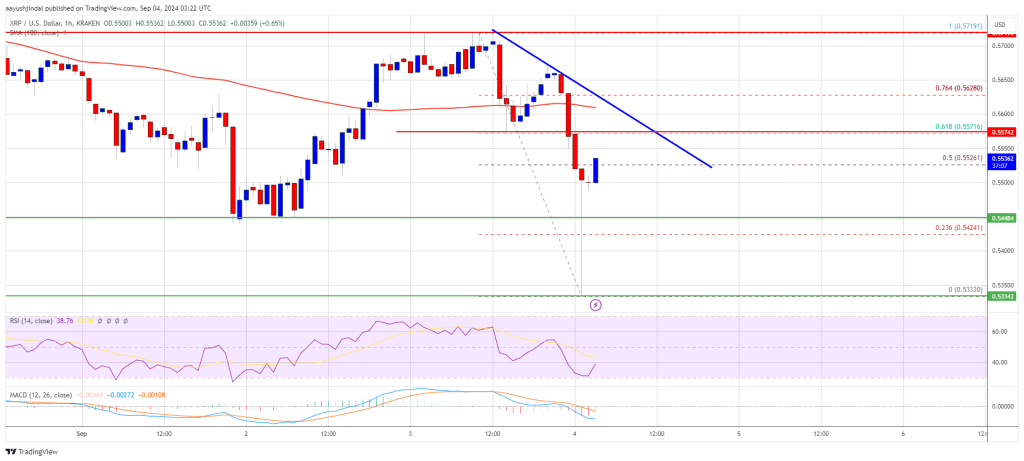 XRP Price Shows Resilience: Is a Bold Move Around the Corner?