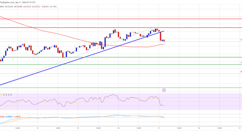 XRP Price Slips But Will The 100-SMA Ignite A Comeback?