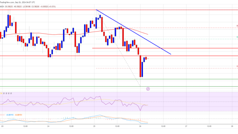 XRP Price Upside Fades: Is a Reversal on the Horizon?