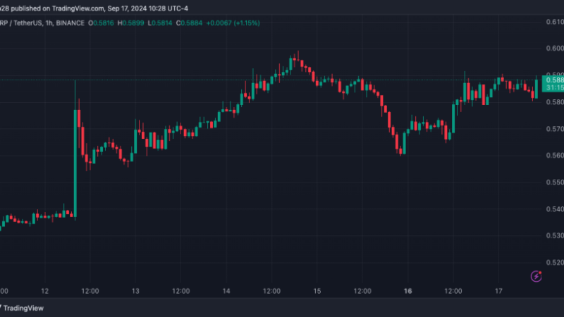 XRP To Have ‘The Mother’ Of All Bull Runs, Analyst Sets Double-Digit Target