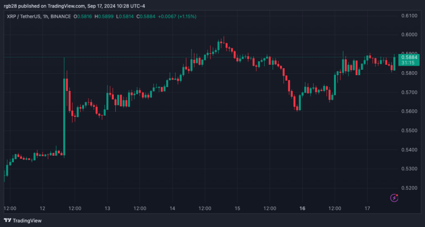 XRP To Have ‘The Mother’ Of All Bull Runs, Analyst Sets Double-Digit Target