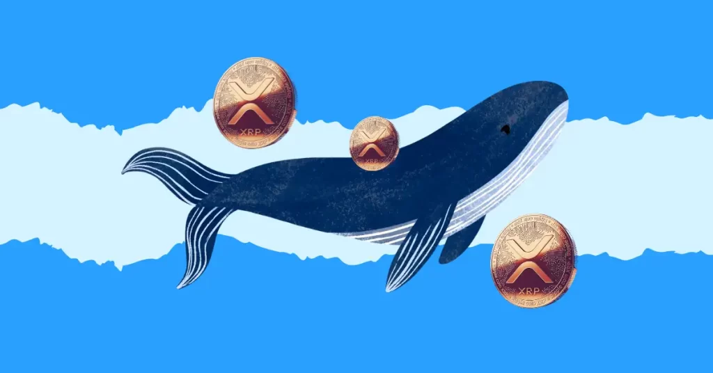 XRP Whales Shift 430 Million Coins in 24 Hours: Is a Market Dump Ahead