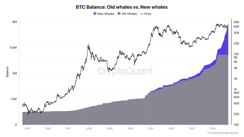 7 Reasons To Be Bullish On Bitcoin This Week