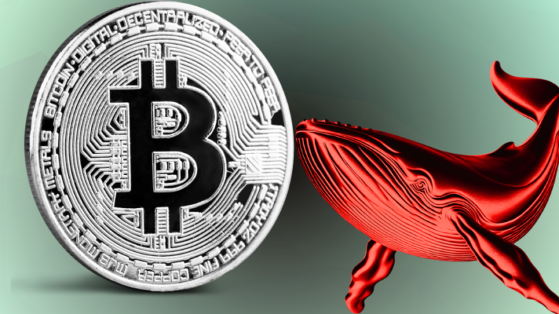 Are Sleeping Bitcoin Whales About To Trigger Market Chaos?