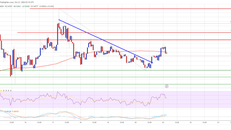 As Bitcoin Climbs, Can XRP Price Catch The Wave?