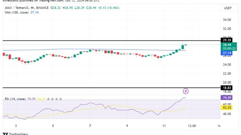 Avalanche Rebounds: Eyes $29.35 Breakout And Further Gains