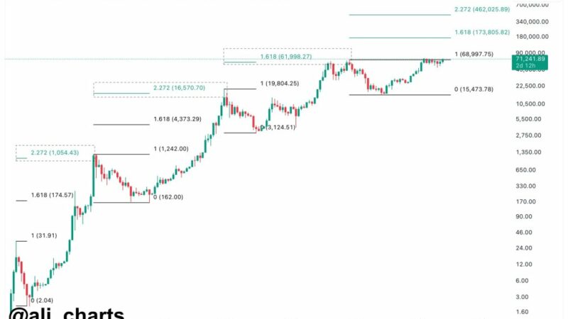 Bitcoin Boom: Is BTC Preparing For Another 6X To $462,000?