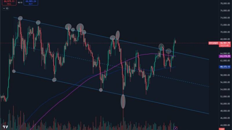 Bitcoin Breaking Out Of 7-Month Accumulation Channel: Expert Predicts Further Upside