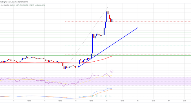 Bitcoin Cash (BCH) Soars 20%: Can The Momentum Last?