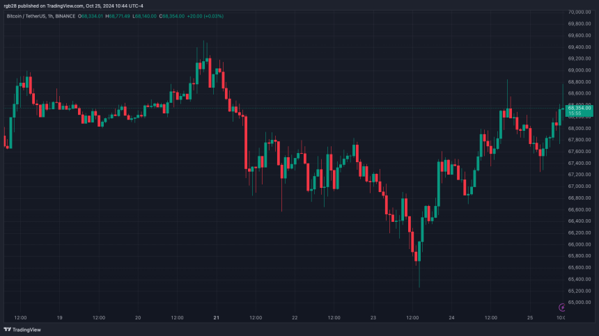 Bitcoin Could See ‘One Last Shakeout’ In November, Here Are The Levels To Watch