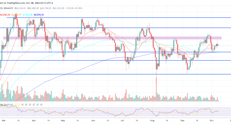 Bitcoin ETF Options Set To Supercharge Price Volatility, Expert Warns