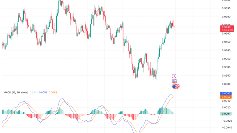 Bitcoin Makes ATH Against Euro Due To Change In Dollar Strength, Details Inside