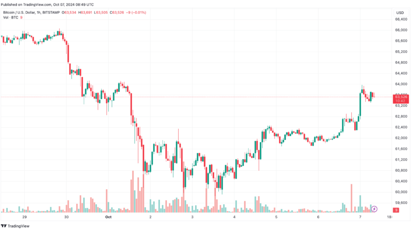 Bitcoin Price Explodes to $64K, Dogwifhat (WIF) Soars 20% Daily (Market Watch)