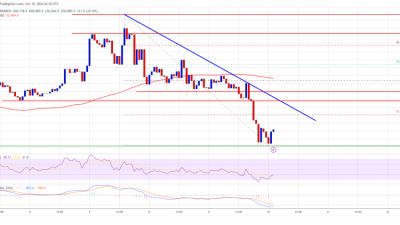 Bitcoin Price Extends Decline: Can $60K Serve as a Lifeline?