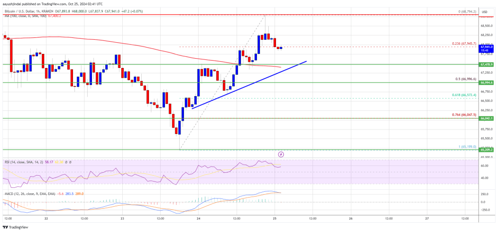 Bitcoin Price Eyes Further Gains: Can It Keep Climbing?