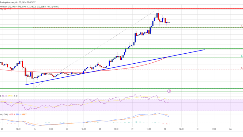 Bitcoin Price Nears All-Time High: Can It Push Past the Mark?