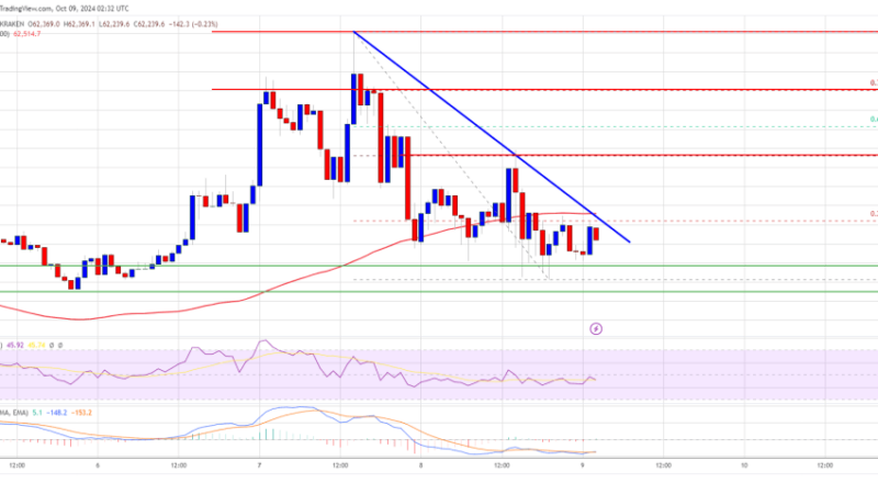 Bitcoin Price Pauses, Eyeing a Fresh Increase: Can Bulls Deliver?