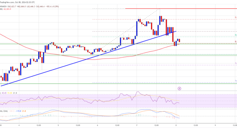 Bitcoin Price Pulls Back: Can It Recover After Correcting Gains?