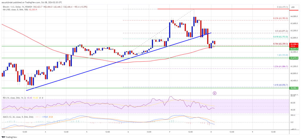 Bitcoin Price Pulls Back: Can It Recover After Correcting Gains?