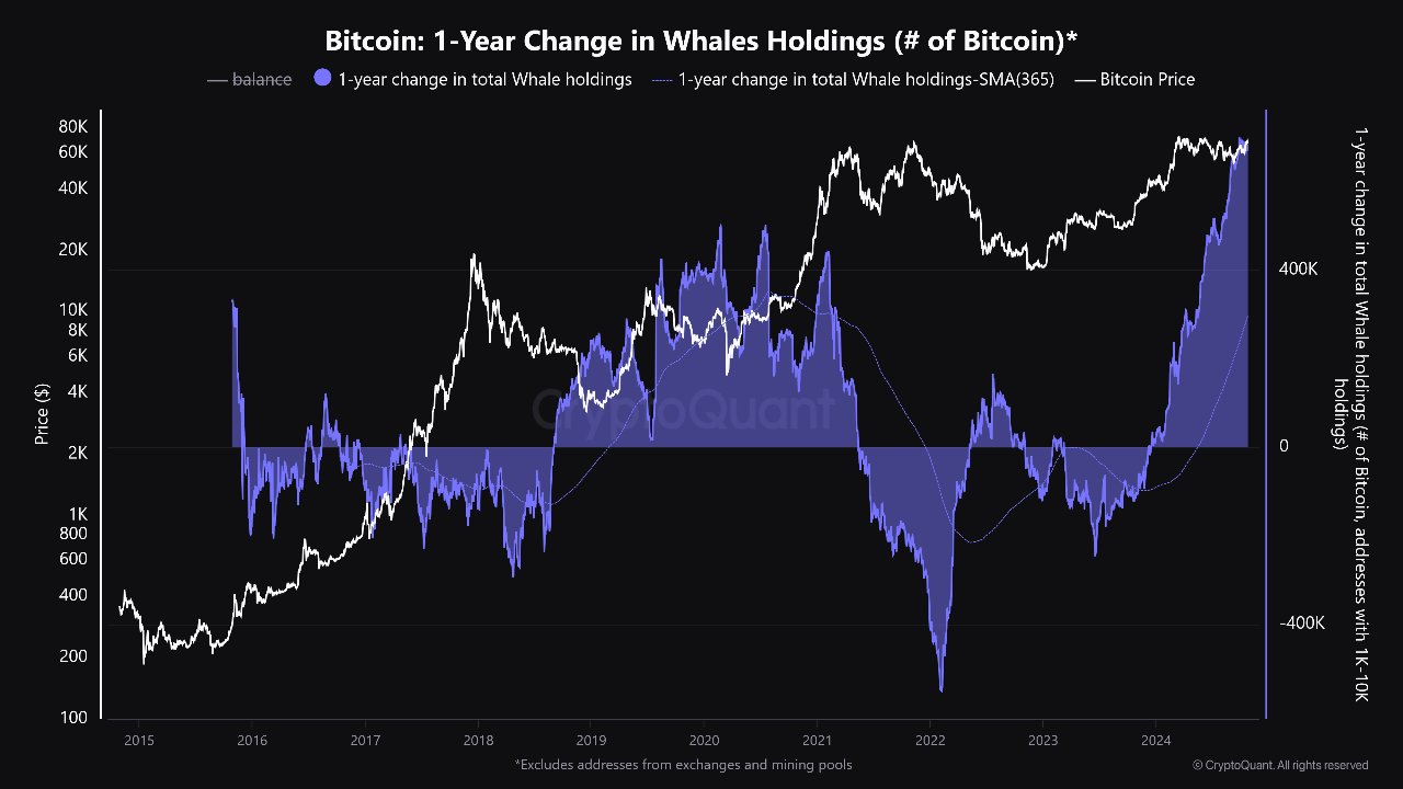 Bitcoin Price Rebounds Above $67,000 As Whales Continue to Accumulate