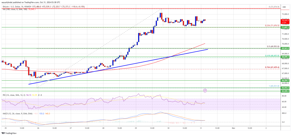 Bitcoin Price Targets Fresh ATH: Will It Make History Again?