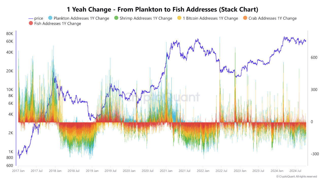 Bitcoin Reclaims $66k But Retail Investors Lag—Is A Final FOMO Wave Coming?