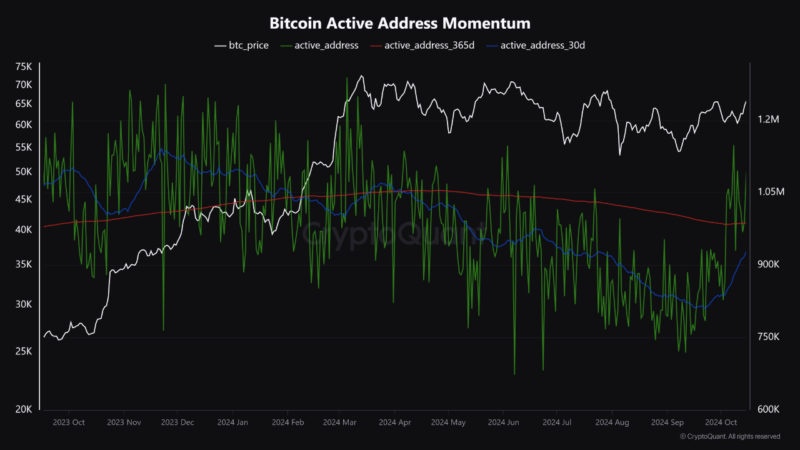 Bitcoin Sees Massive Surge In Active Addresses: Here’s What It Signals For Price