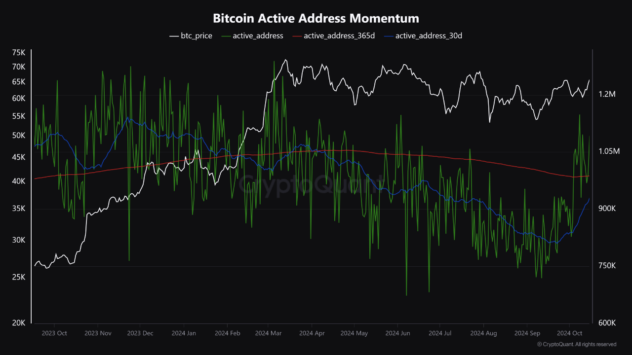 Bitcoin Sees Massive Surge In Active Addresses: Here’s What It Signals For Price