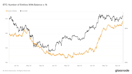 Bitcoin Whale Numbers Return To January 2021 Bull Market Levels, Is A New ATH Coming?