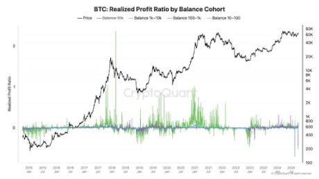 Bitcoin Whales Move Out Of Character With This Bull Market, What’s Happening?