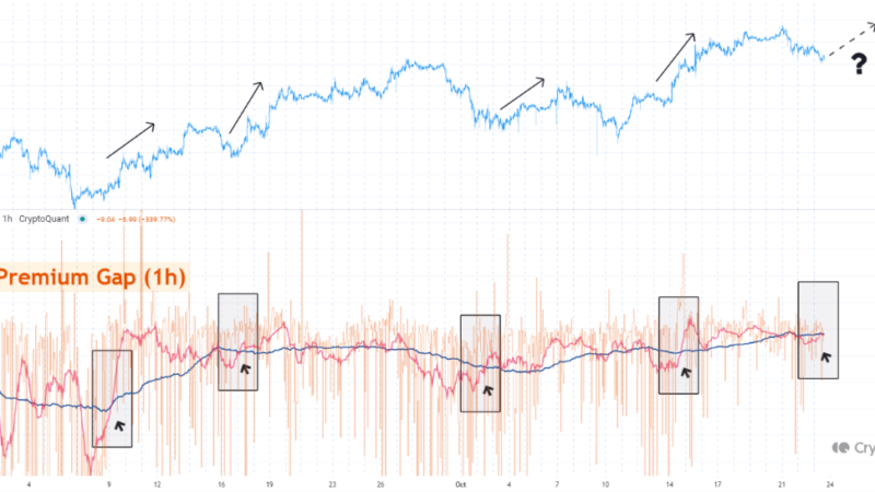 Bitcoin’s Current Decline Could Be Temporary—Key Signs of A Rally Revealed