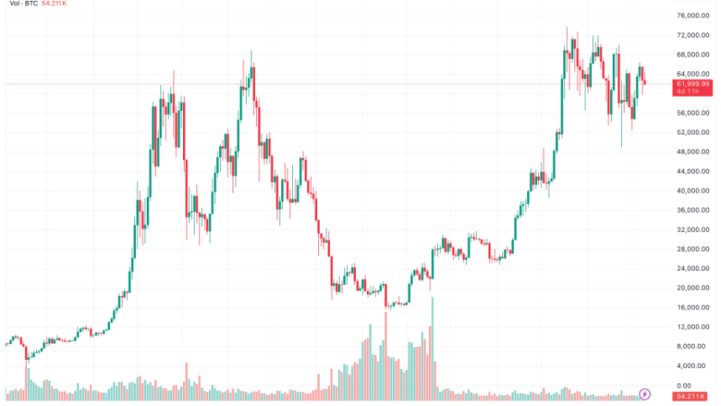 Bitcoin’s Path To $80,000 “Melt-Up” In Q4 2024 – Details Inside