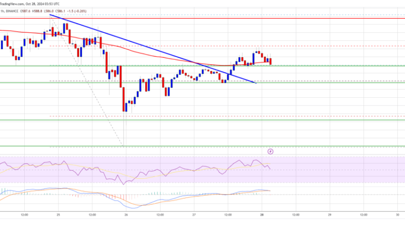 BNB Price Aims To Reclaim $600: Will The Bulls Succeed?